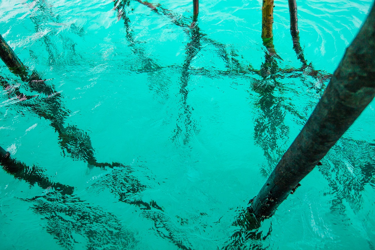 water transparency turquoise free photo