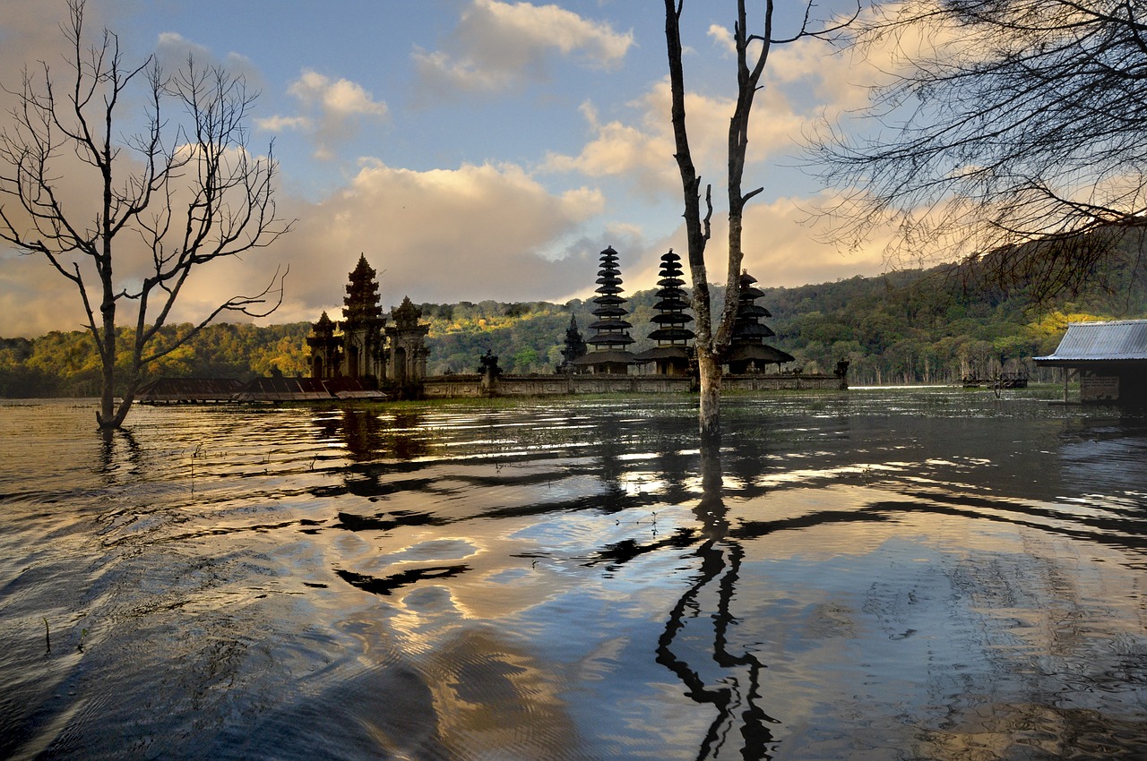 water tree mood free photo