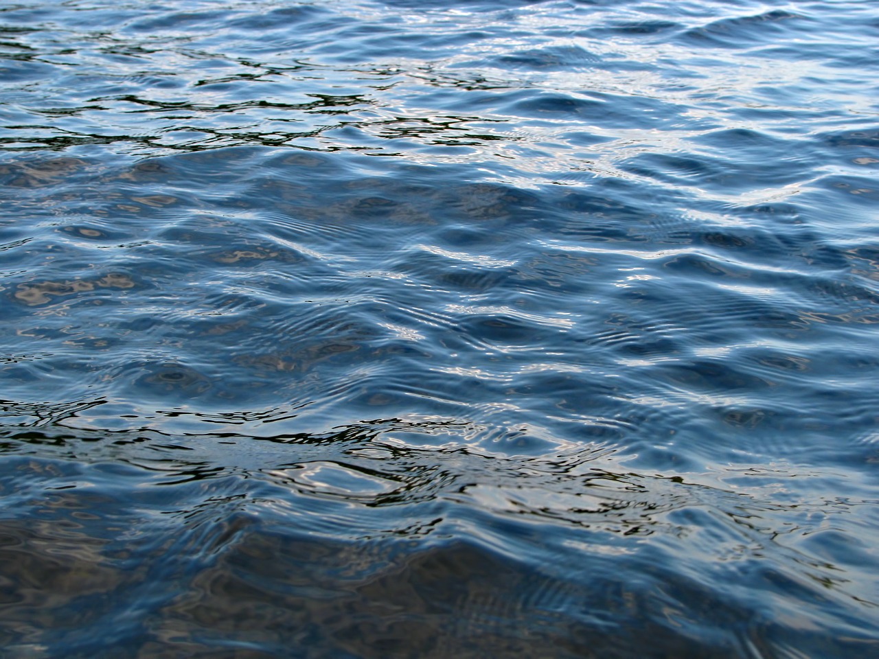 water aqua water surface free photo