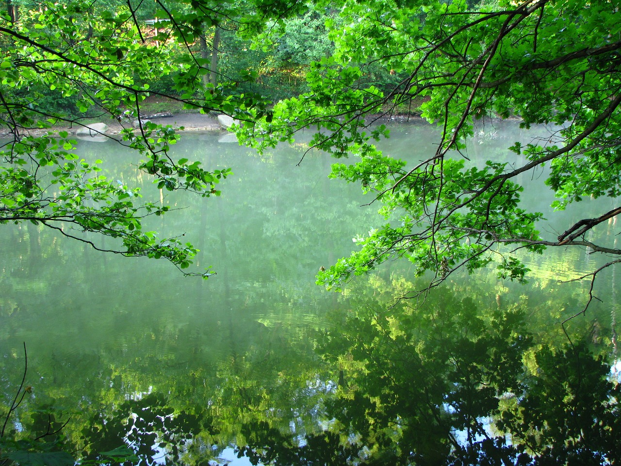 water reflection lake free photo