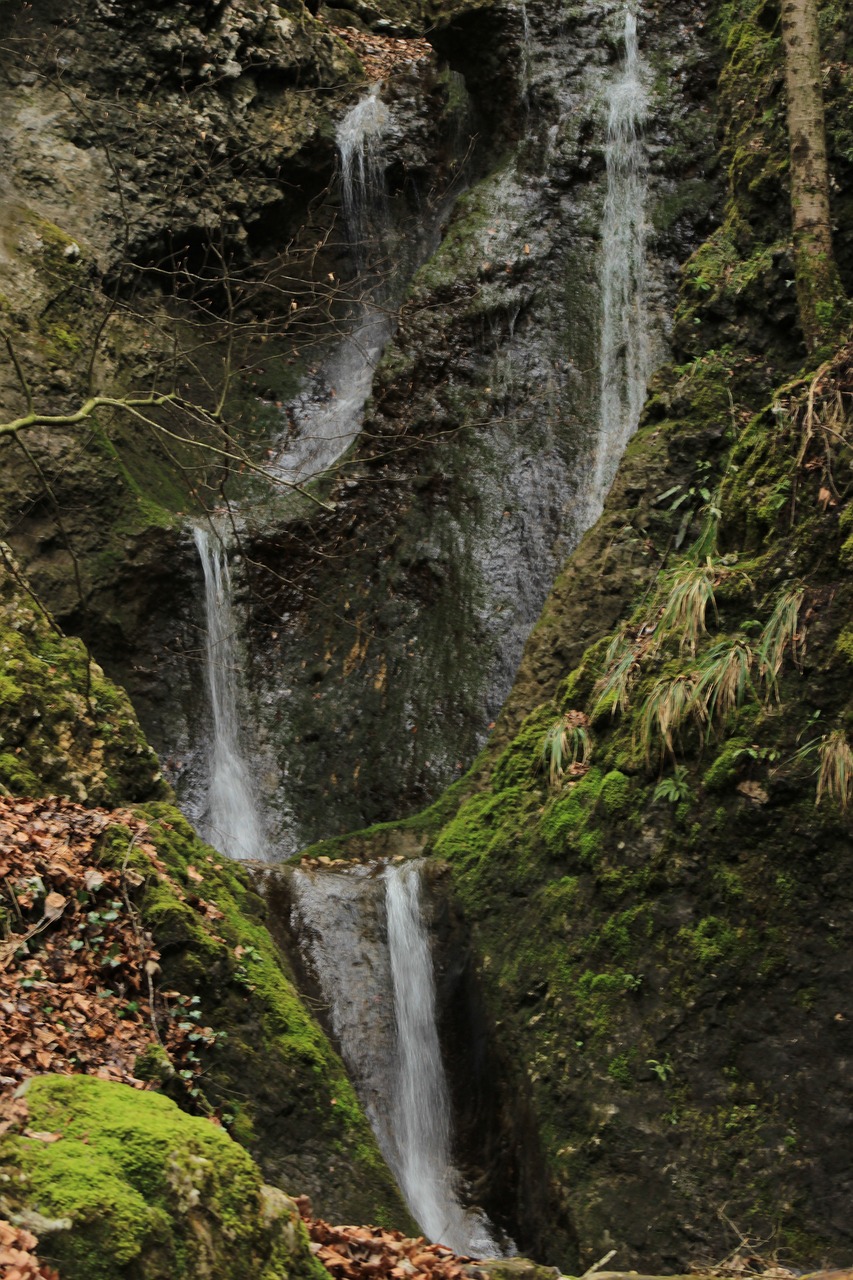 water river flow free photo