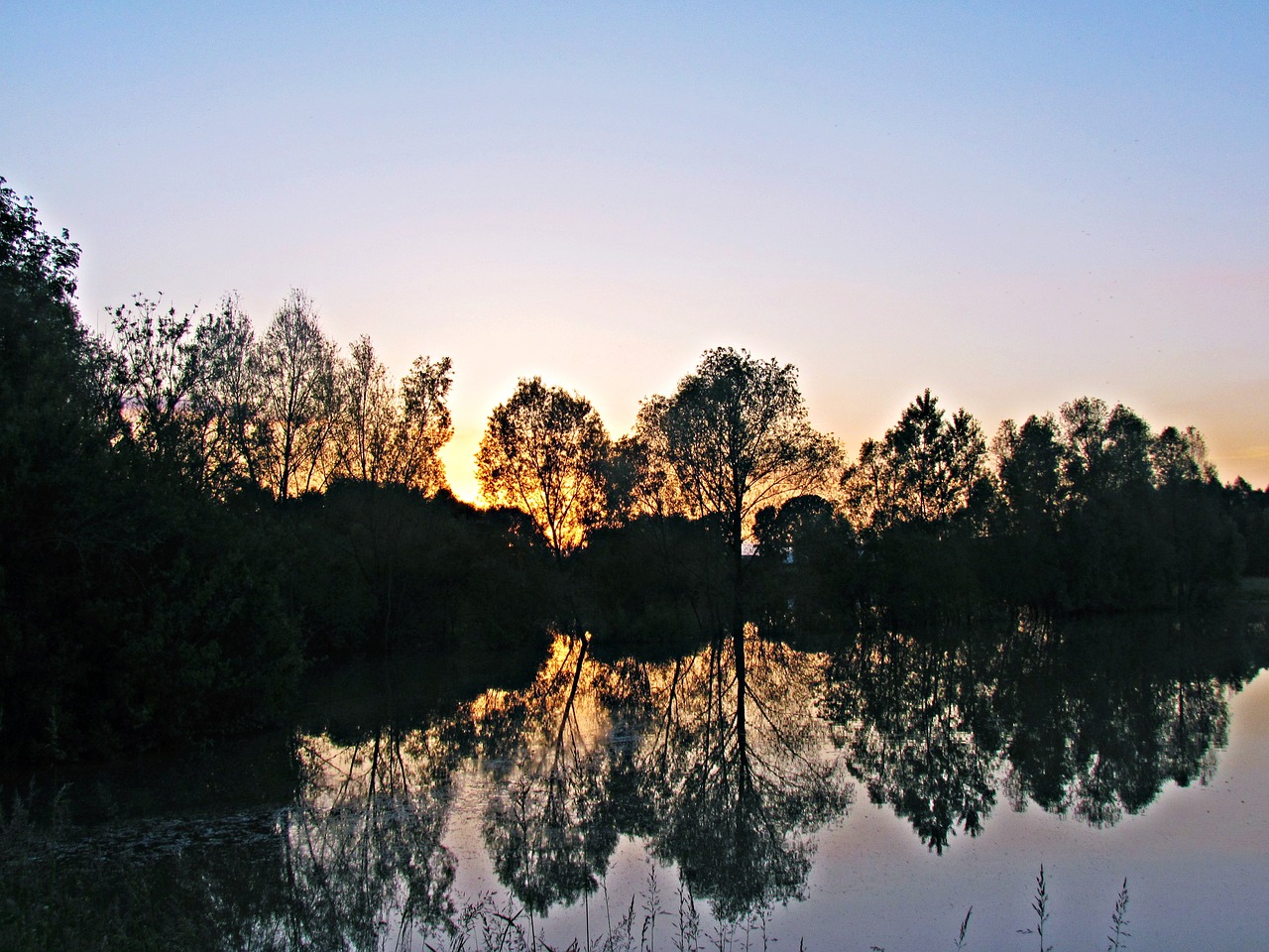 water tree shadow free photo