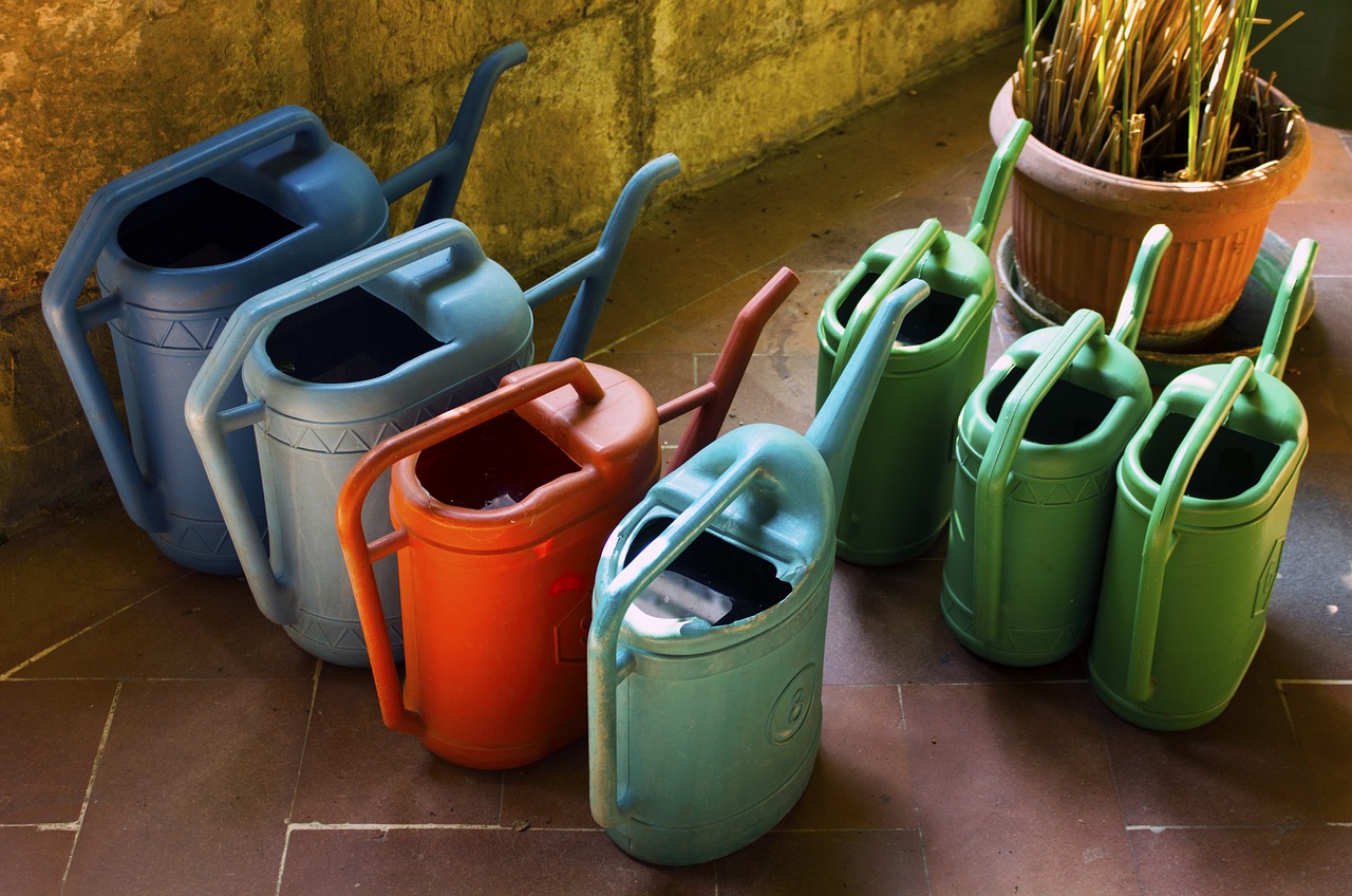 water irrigation watering can free photo