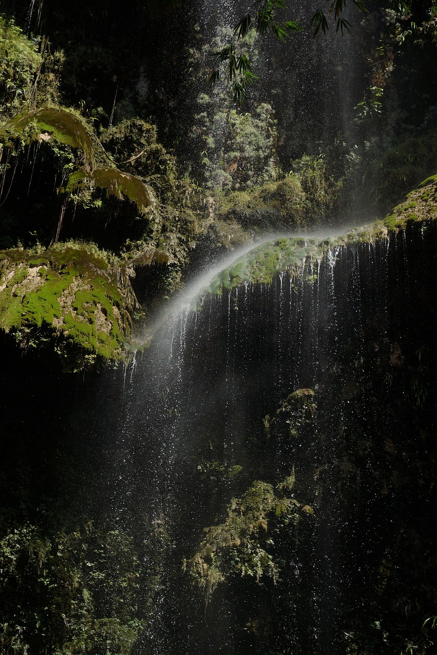 water moss waterfall free photo