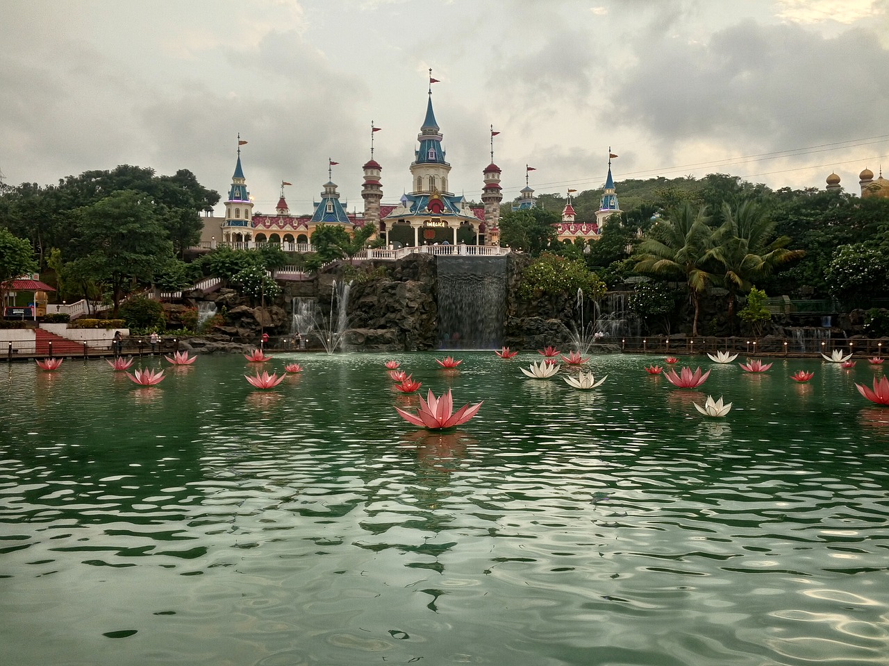 water lotus cloud free photo