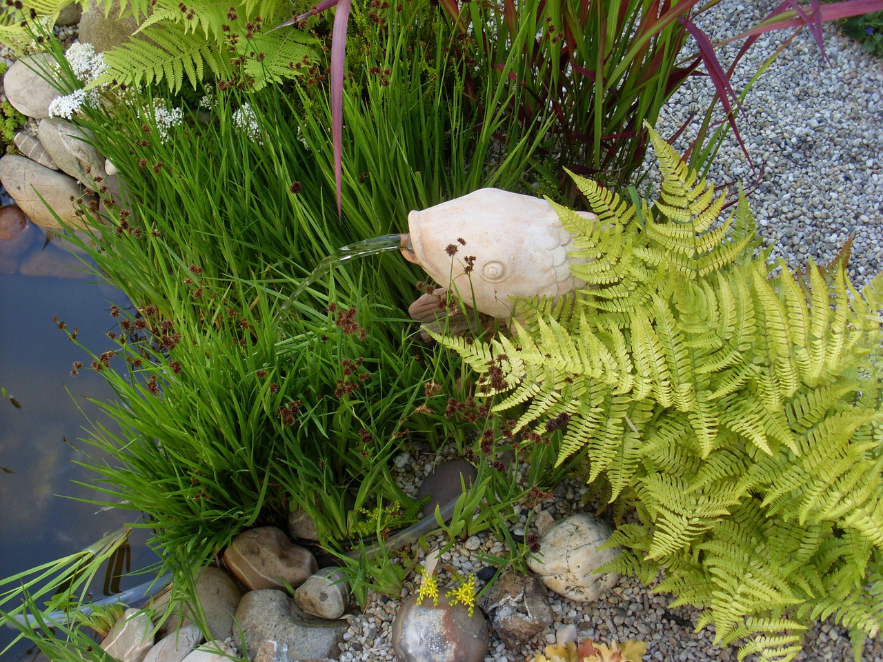 water pond garden free photo