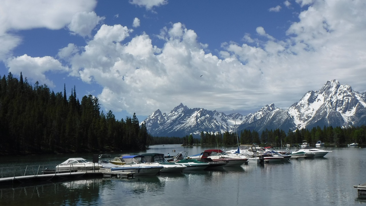 water marina boats free photo