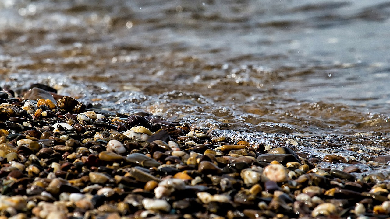 water wet river free photo