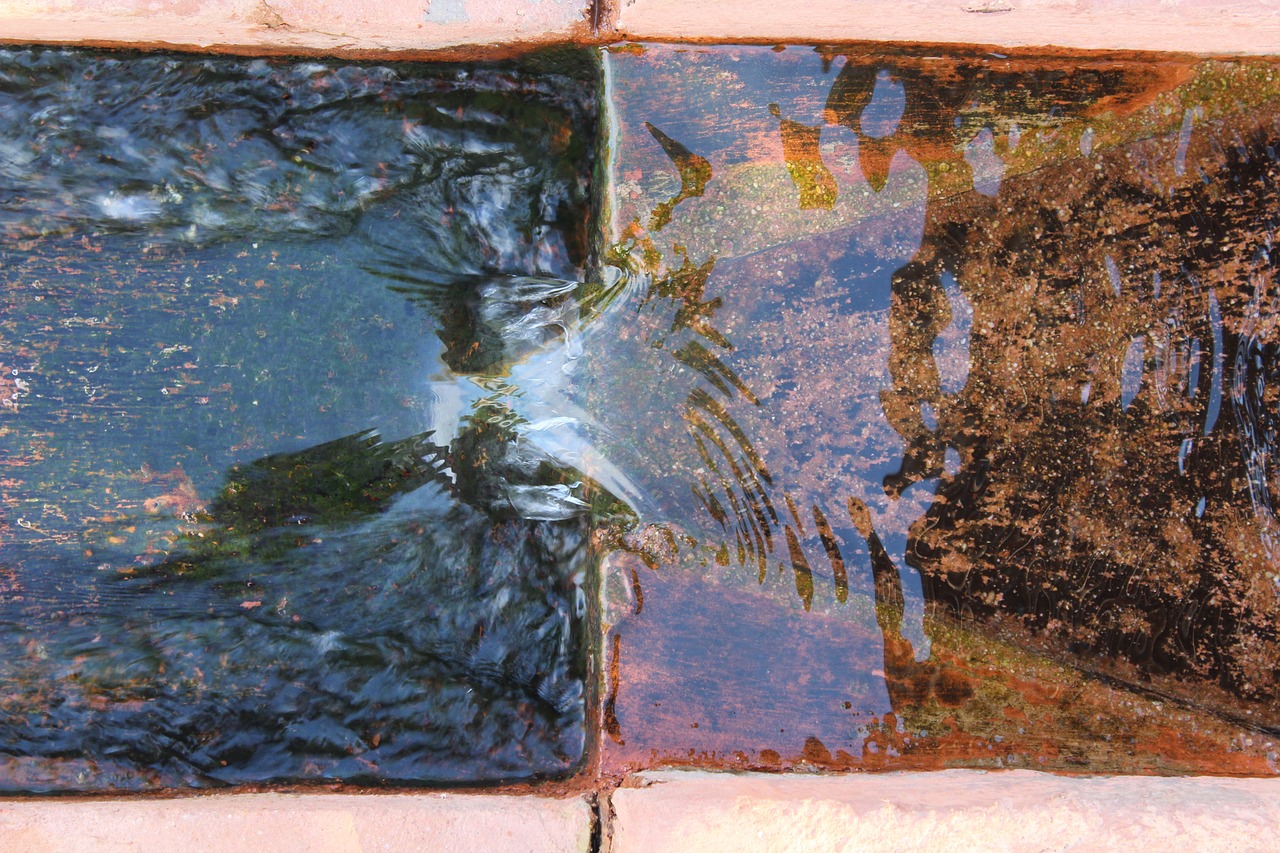 water herb garden fountain free photo