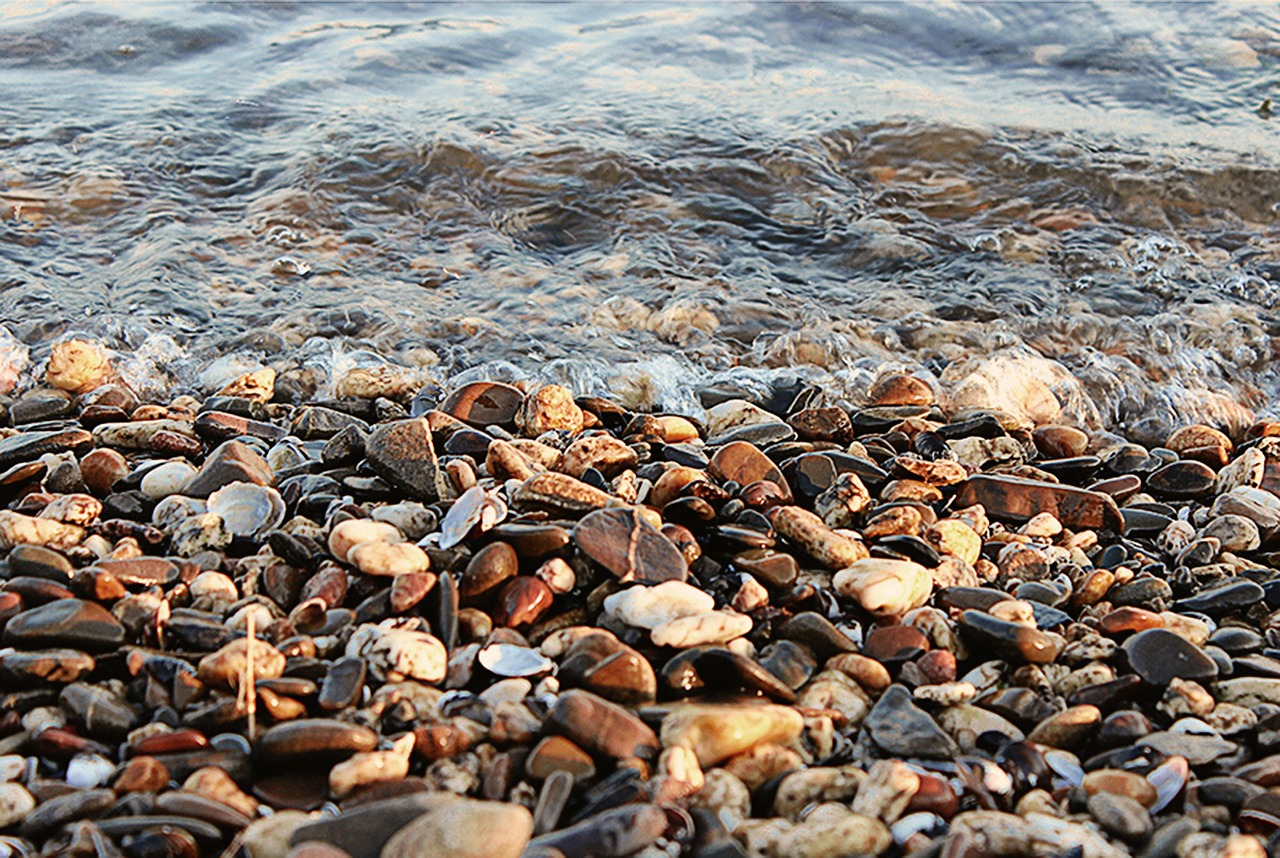 water stones mussels free photo