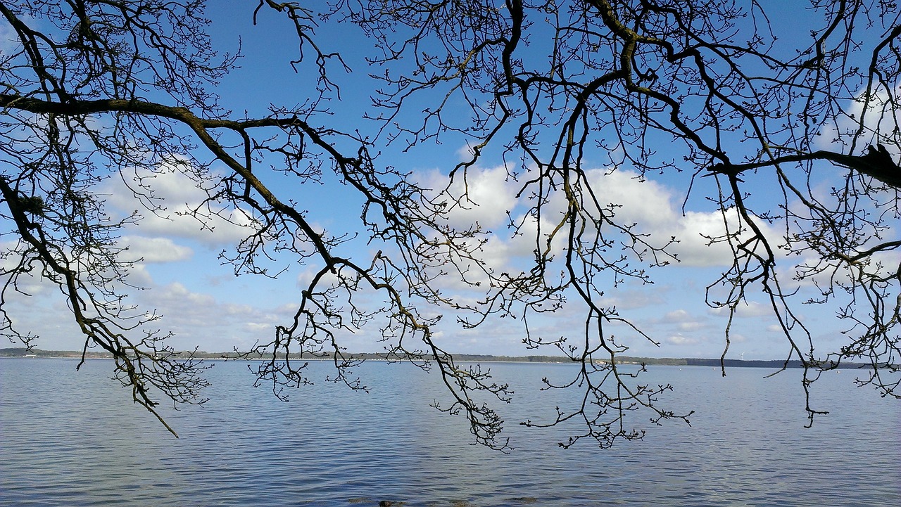 water baltic sea coast free photo