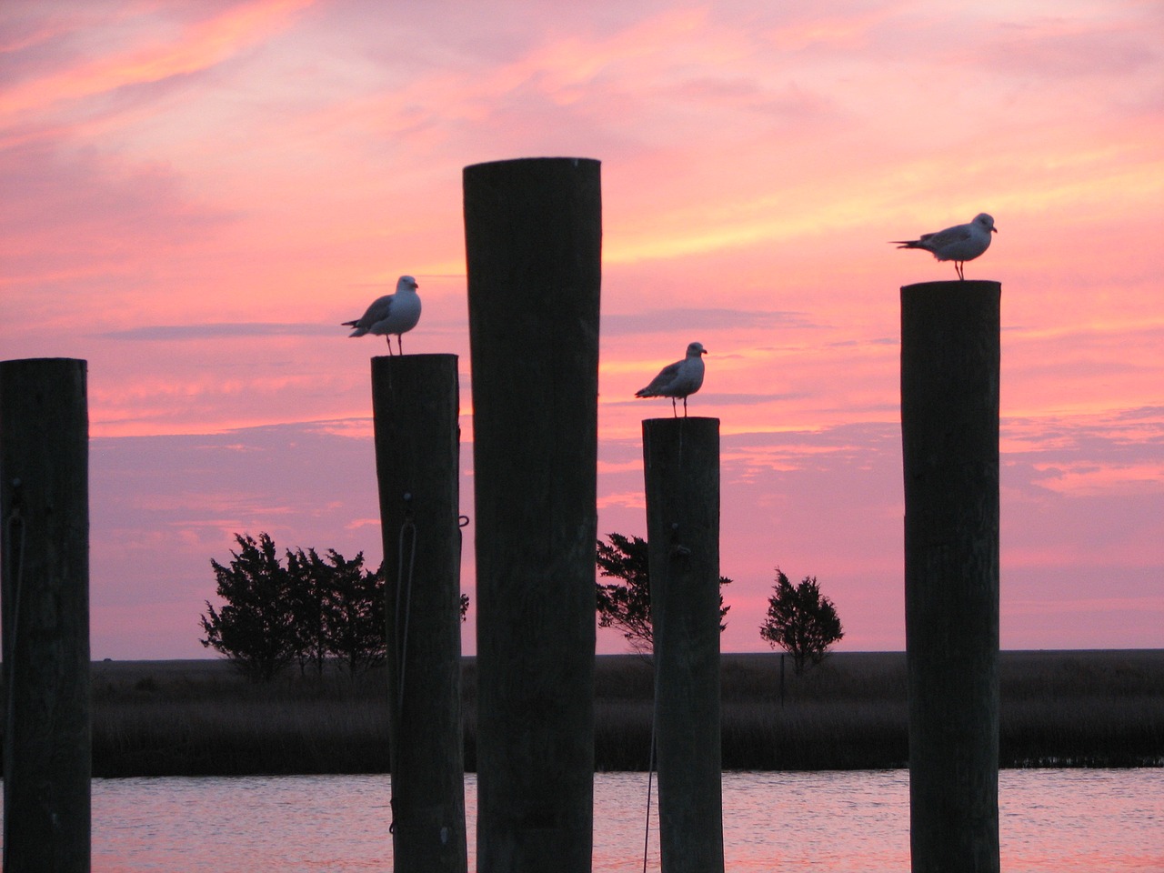 water dusk skyline free photo