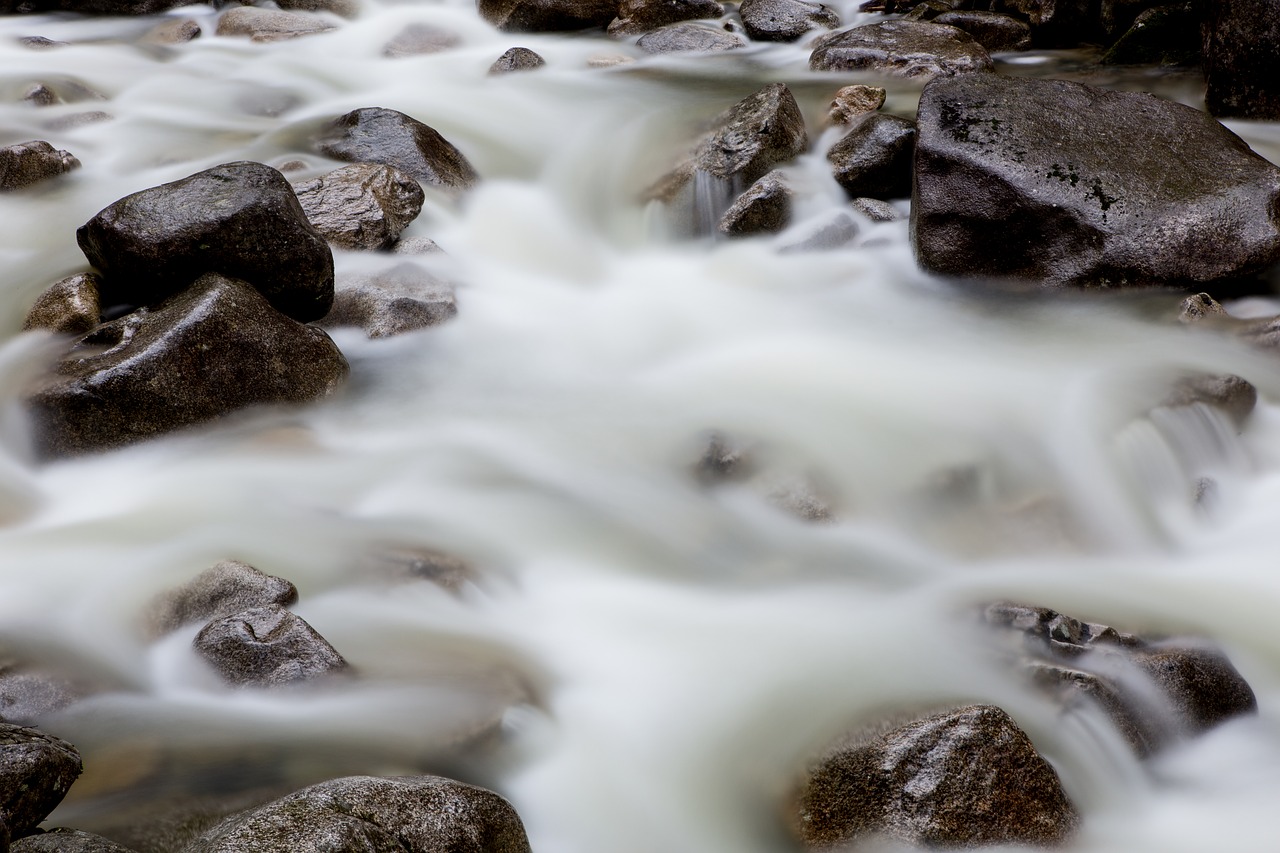 water river nature free photo