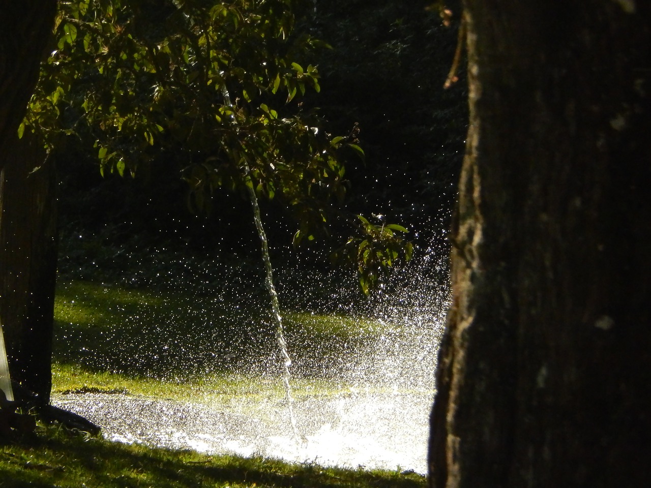 water waterfall source free photo