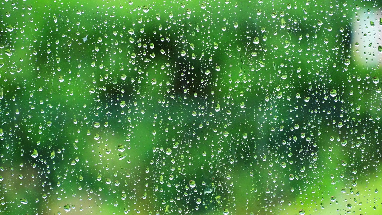 water rain raindrop free photo