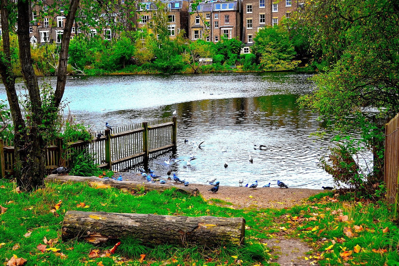 water green spring free photo