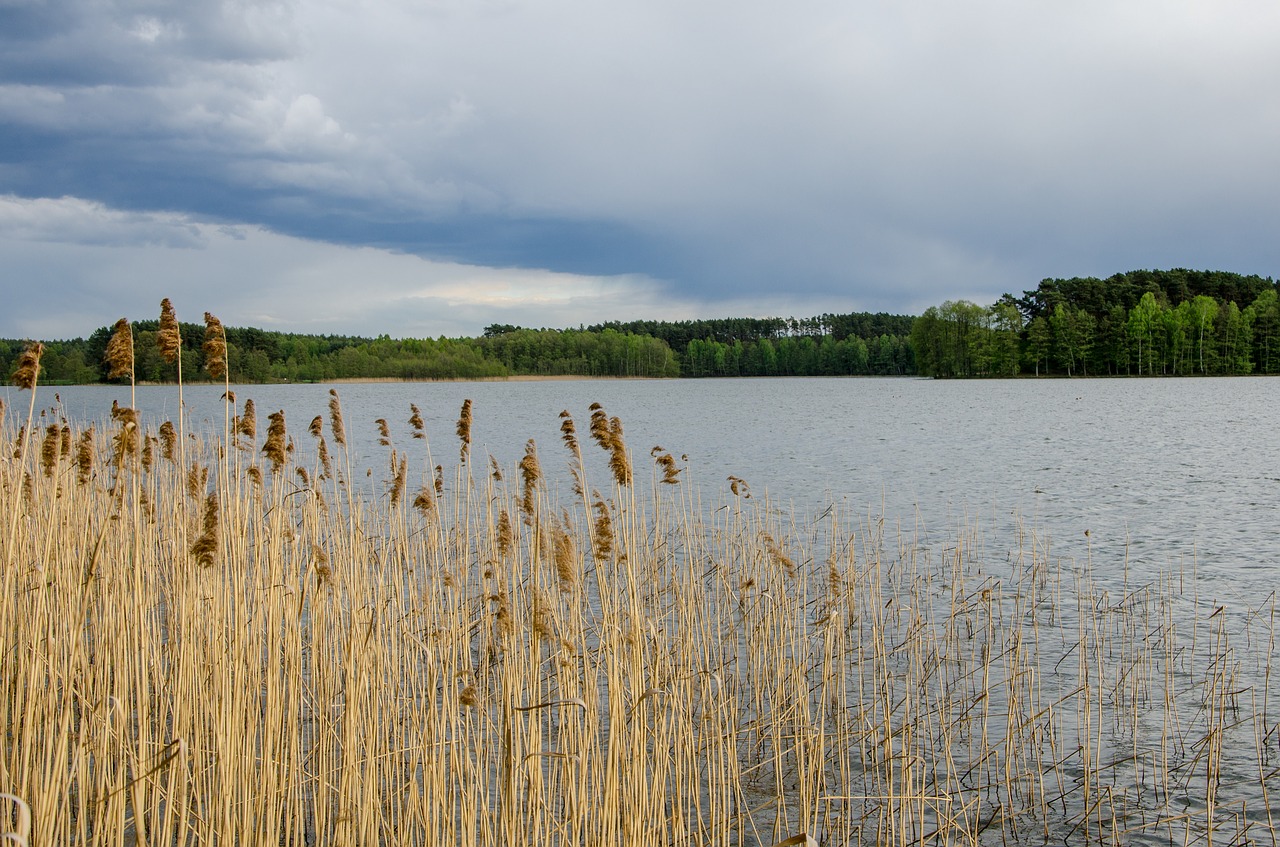 water nature on free photo