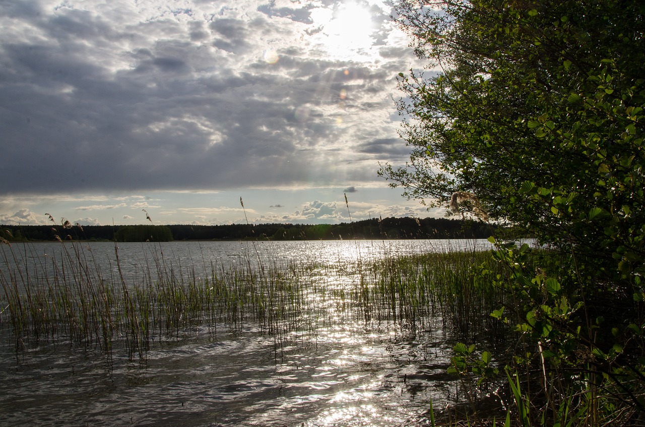 water nature summer free photo