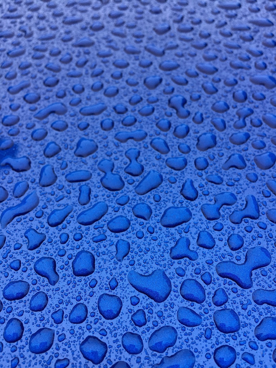 water car droplets free photo