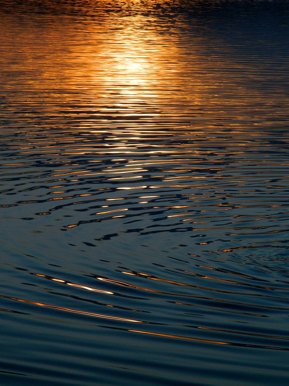 water reflection in the water glare on the water free photo