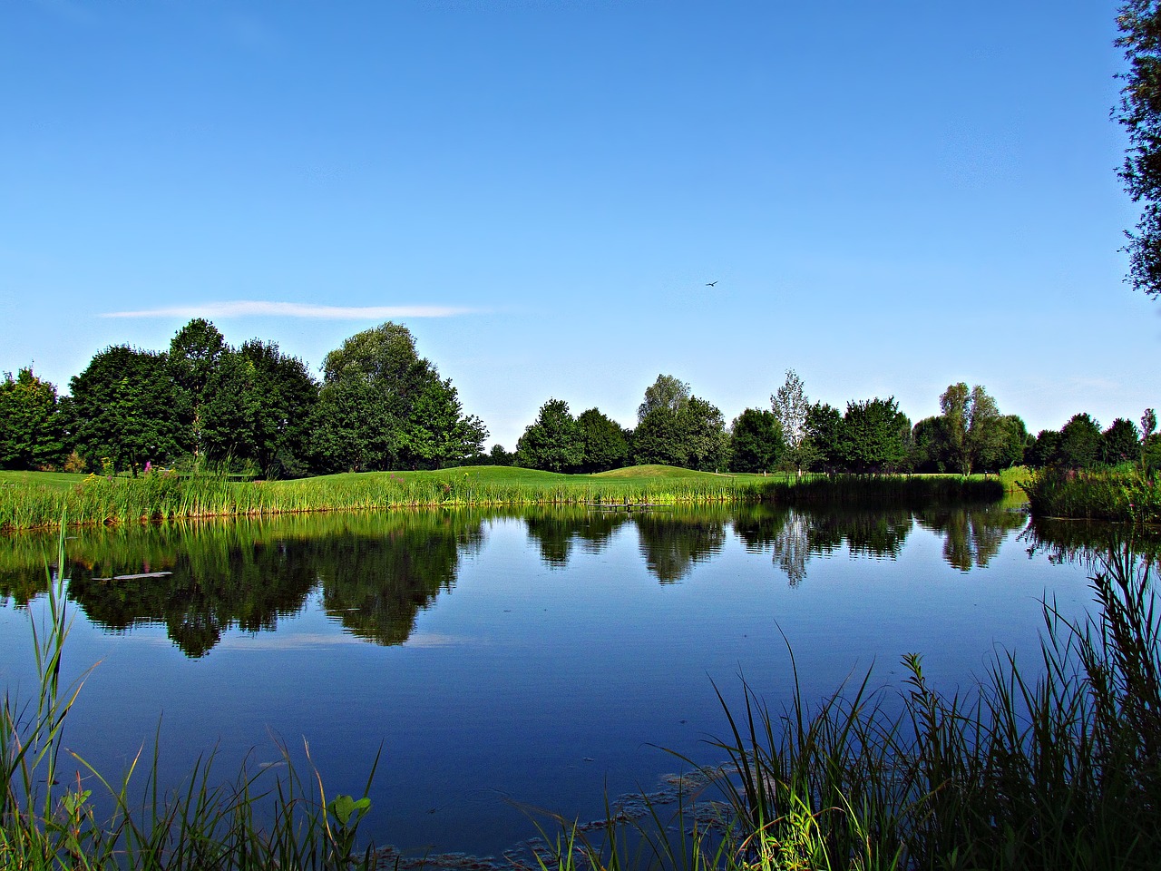 water pond landscape free photo