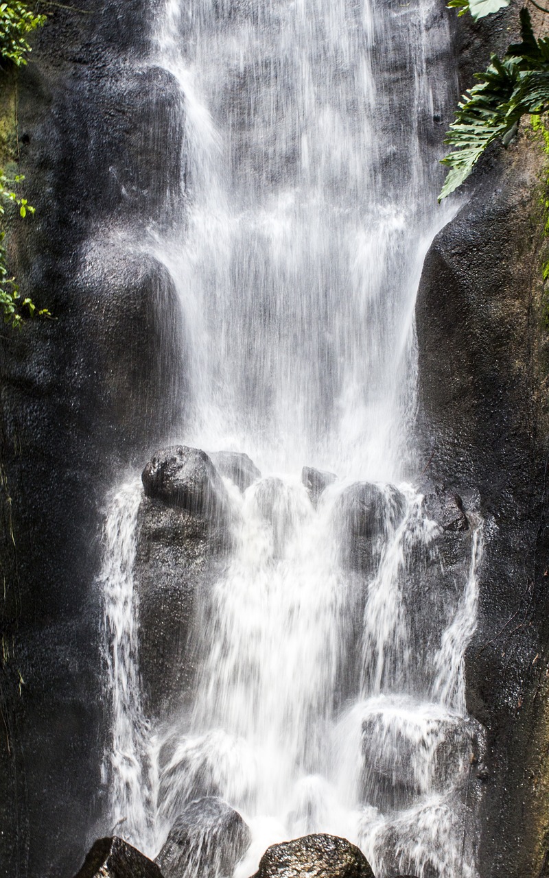 water waterfall jungle free photo