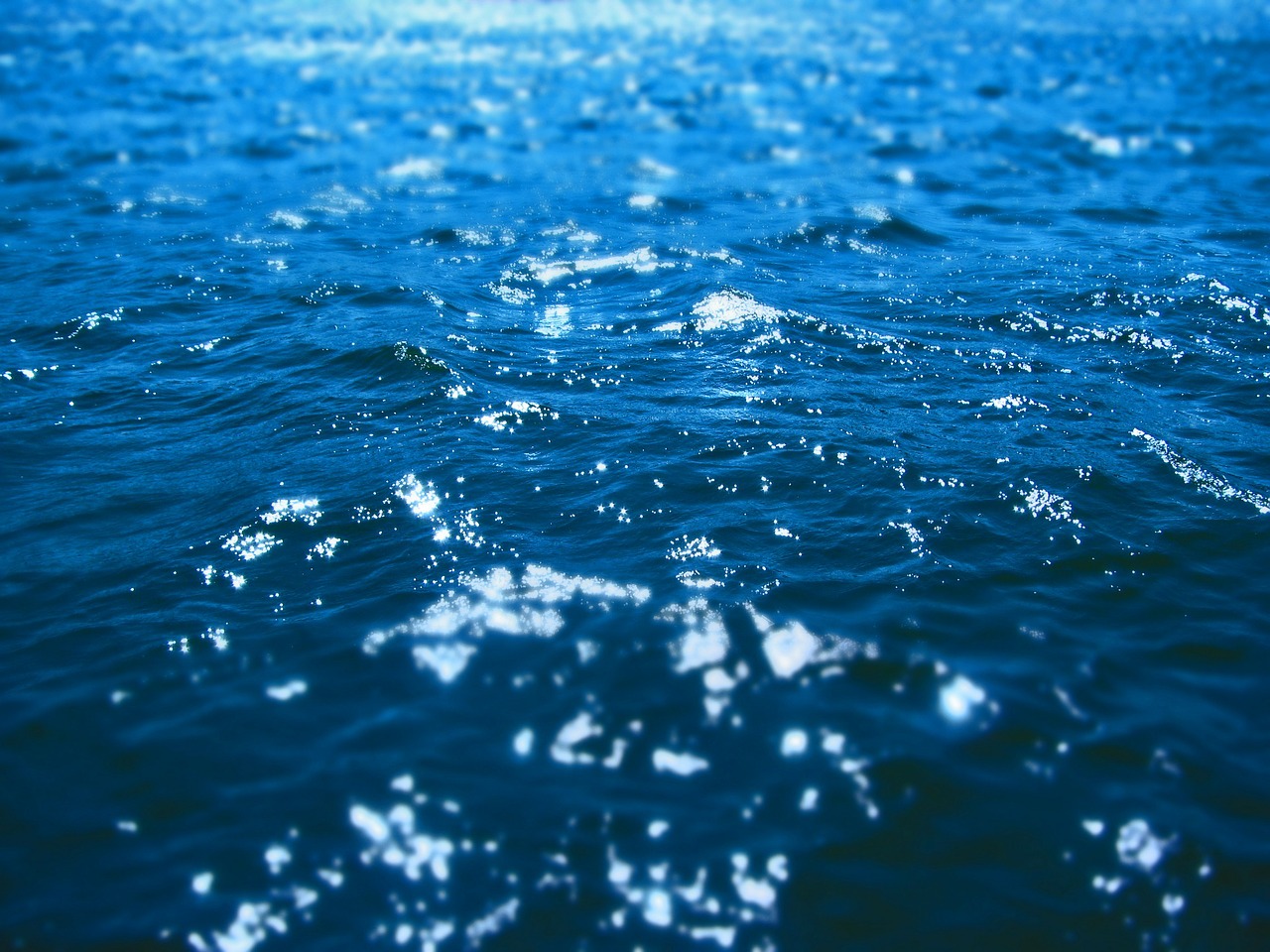 water water surface aqua free photo