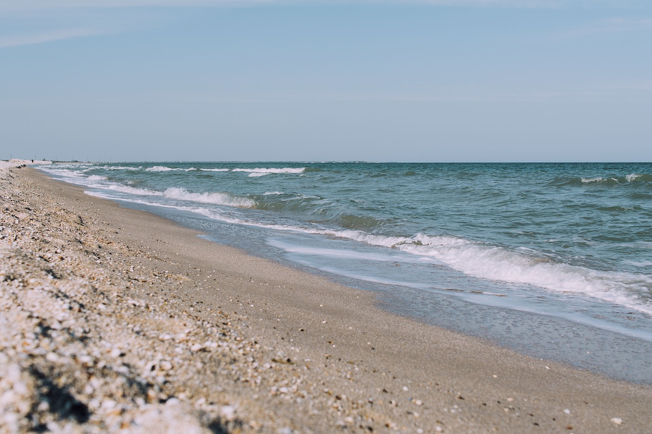 water blue ocean free photo