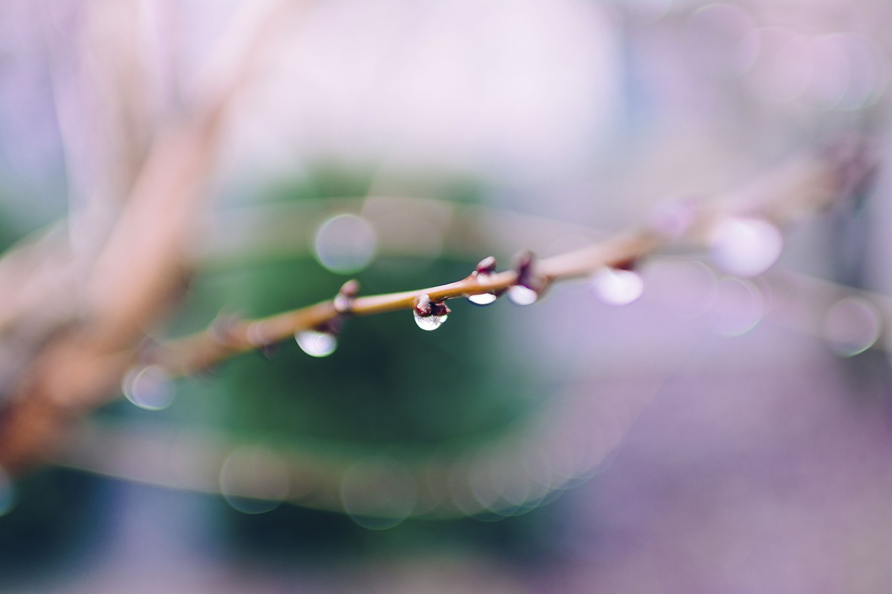 water drop bokeh free photo