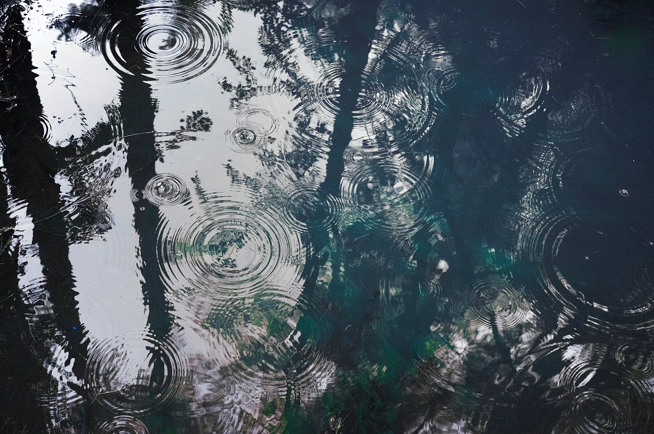 water rain drops free photo