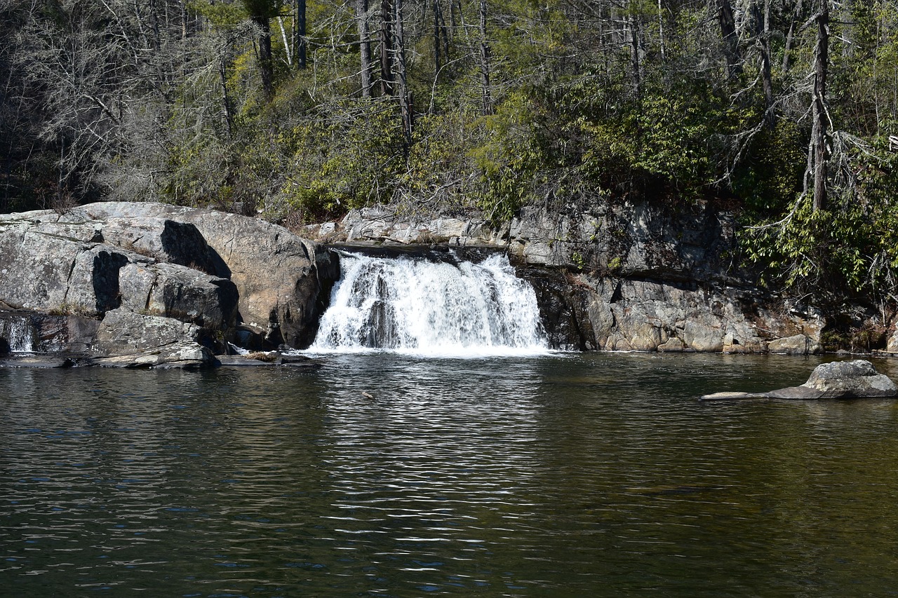 water calm tranquil free photo