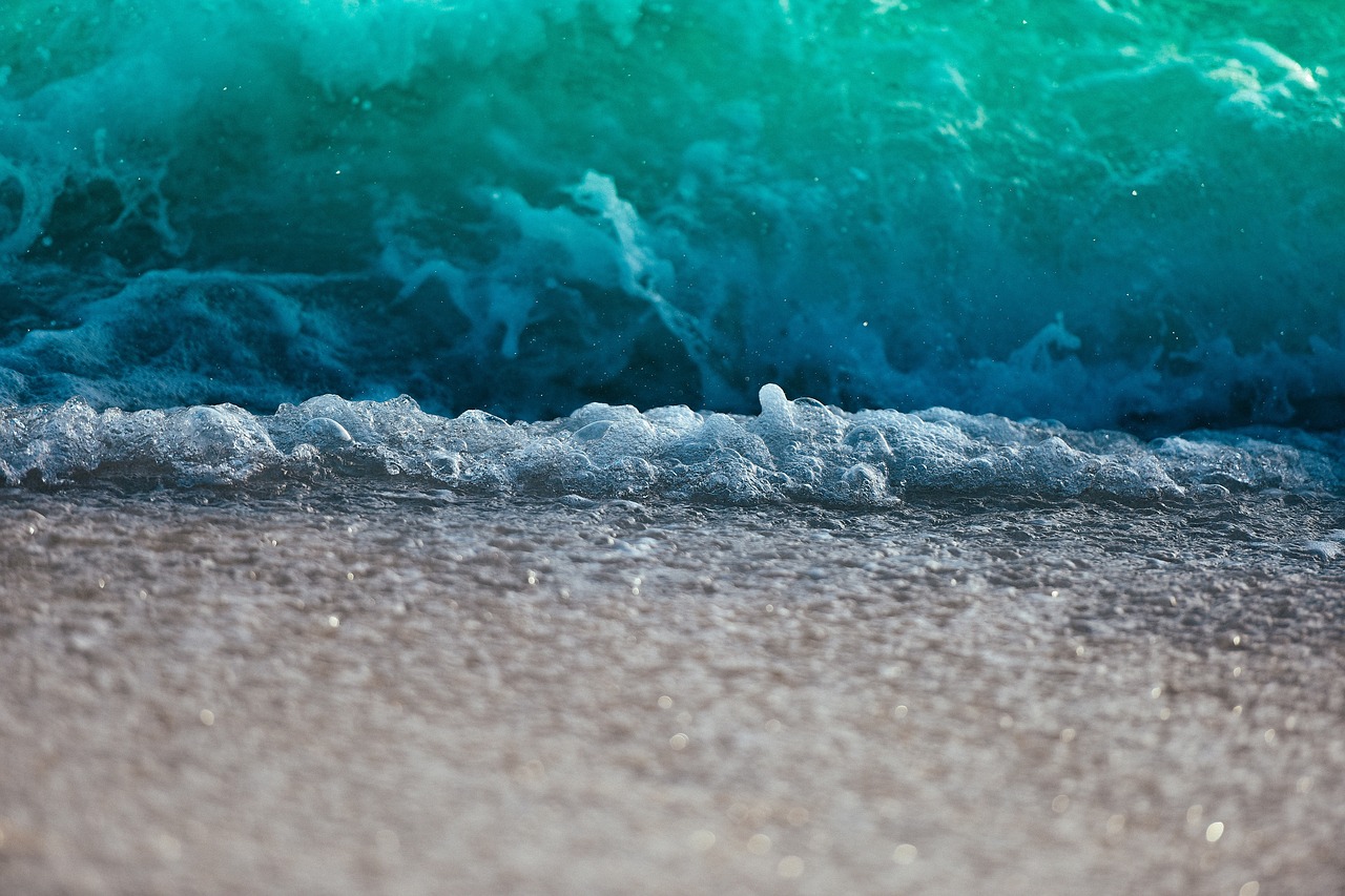 water blue ocean free photo