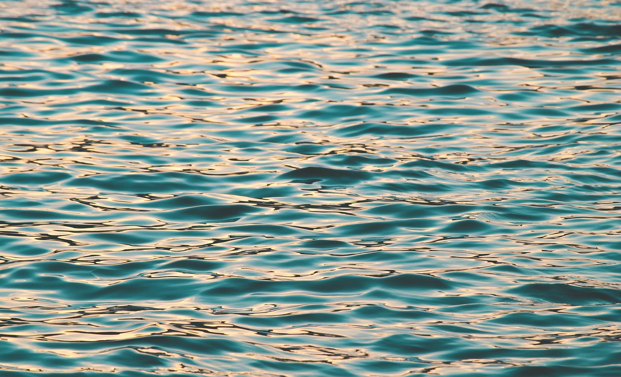water blue ocean free photo