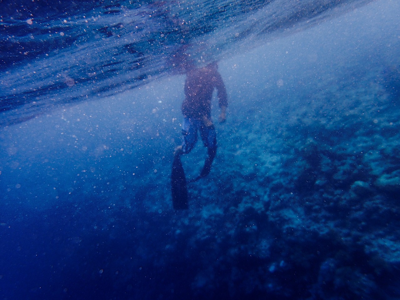 water underwater blue free photo