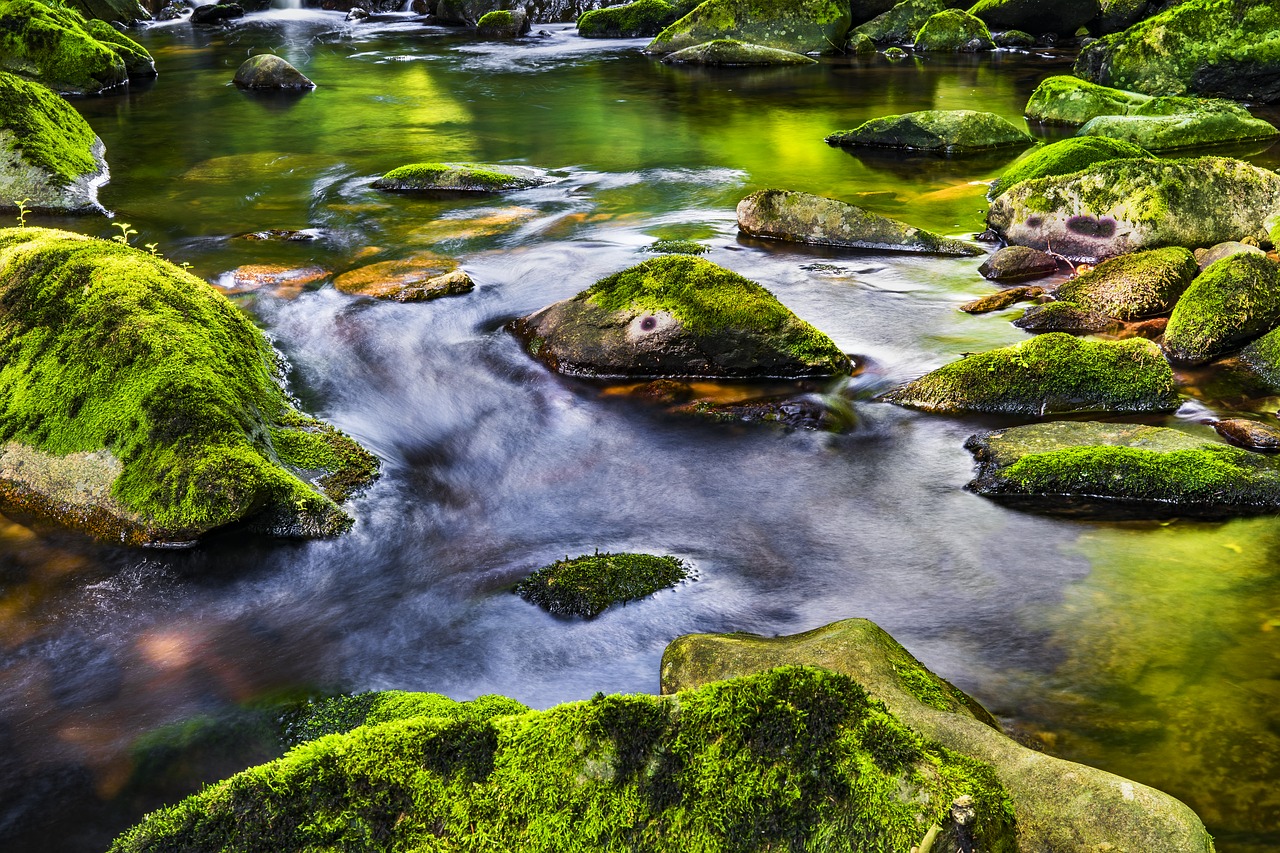 water river nature free photo