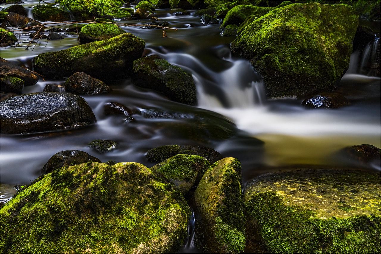 water river nature free photo