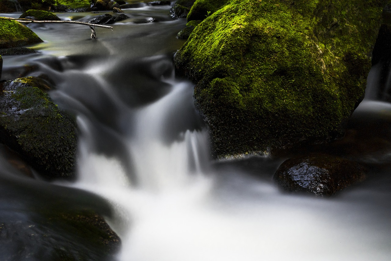 water river nature free photo