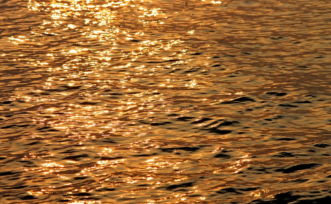 water mirroring evening sun free photo