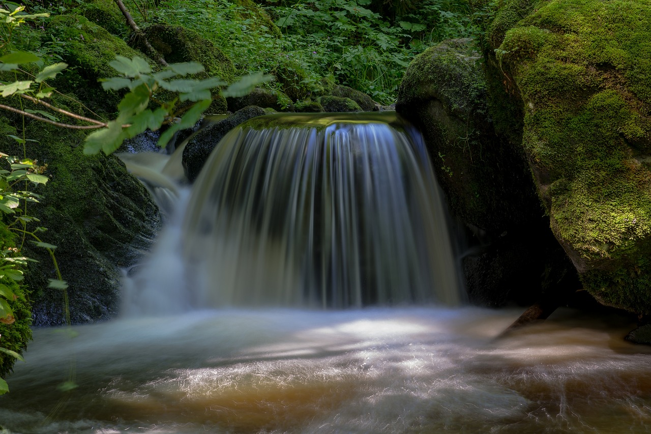 water black forest nature free photo