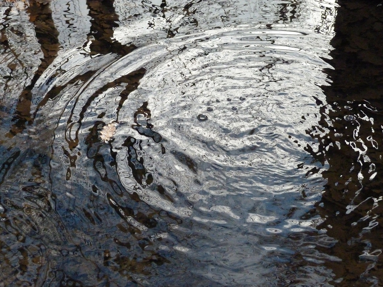 water reflections nature free photo