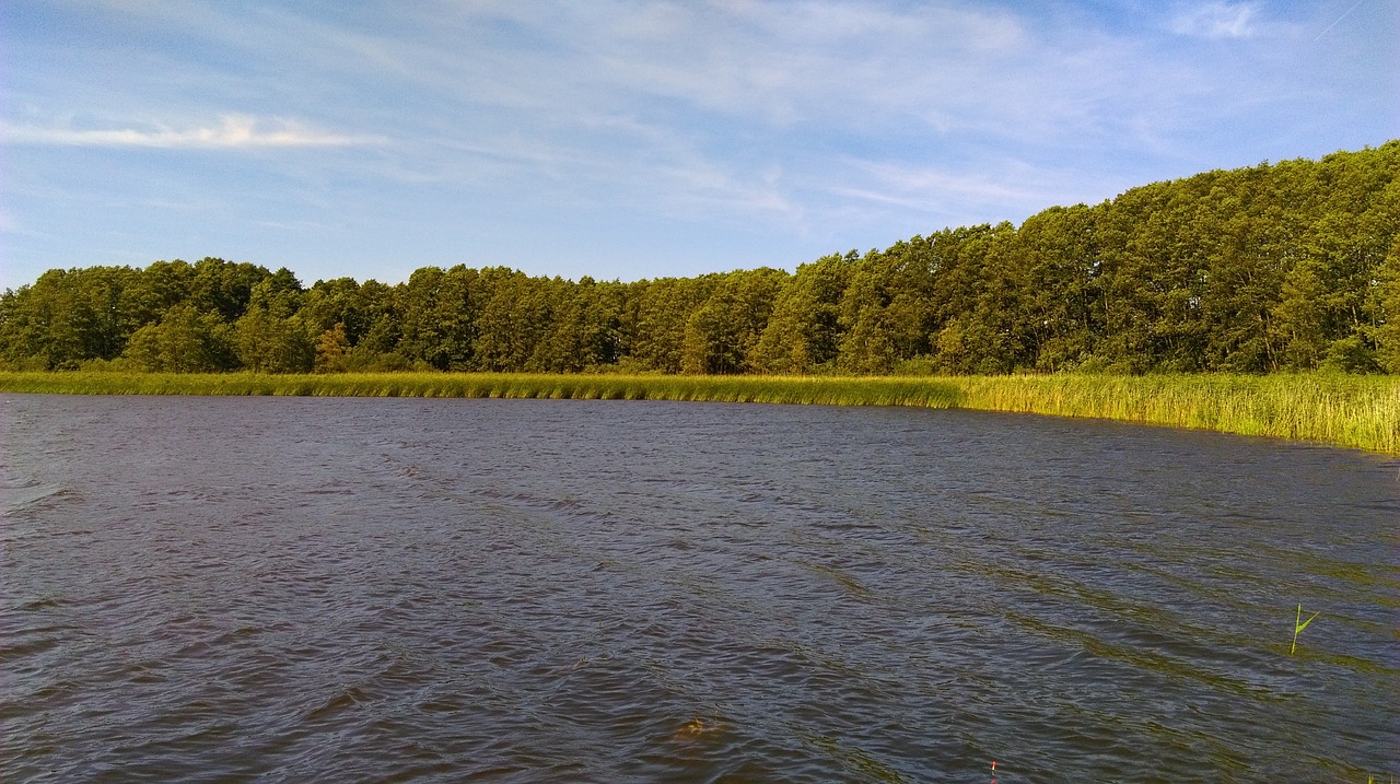 water lake nature free photo