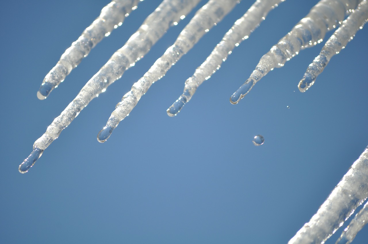 water drip frozen free photo