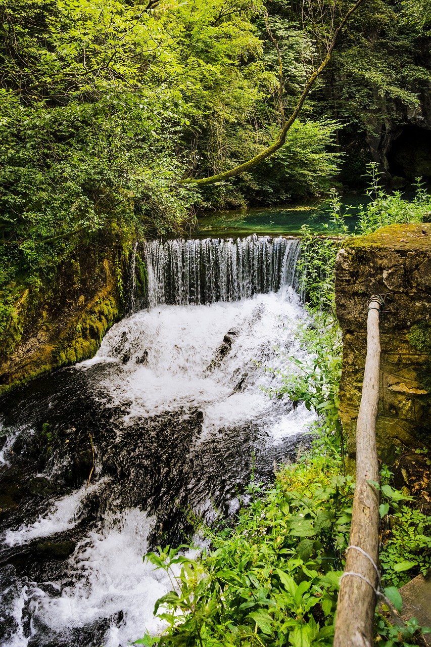 water nature green free photo