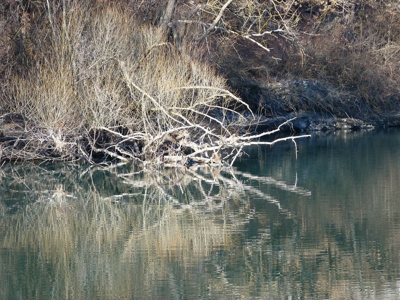 water reflections river free photo