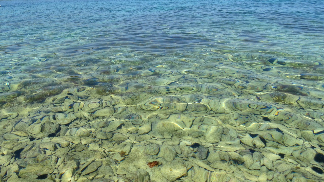 water sea adriatic free photo