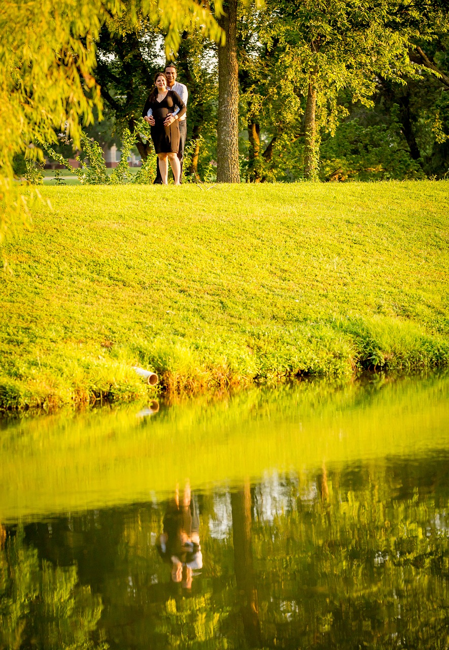 water edge lake free photo