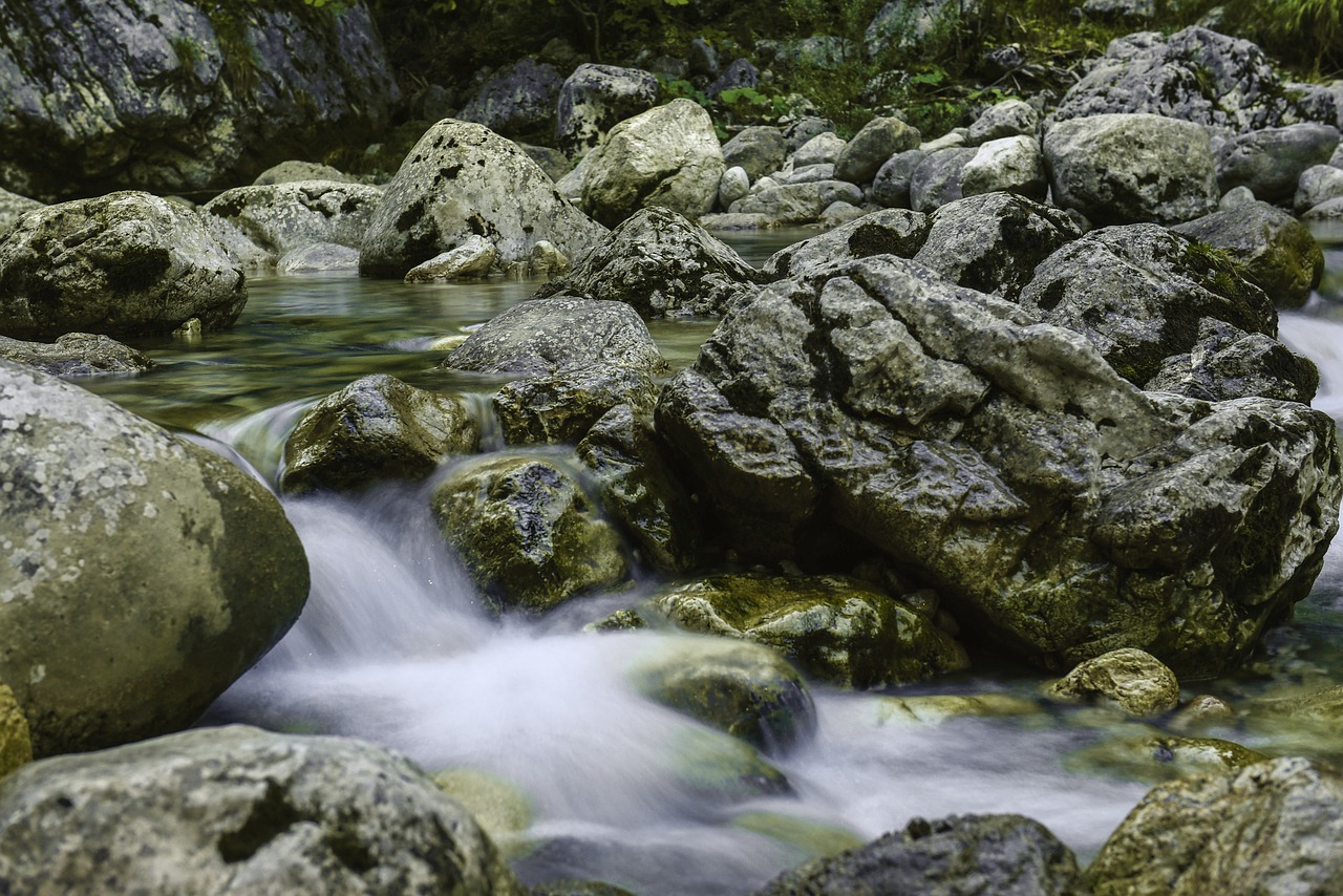 water inject forest free photo