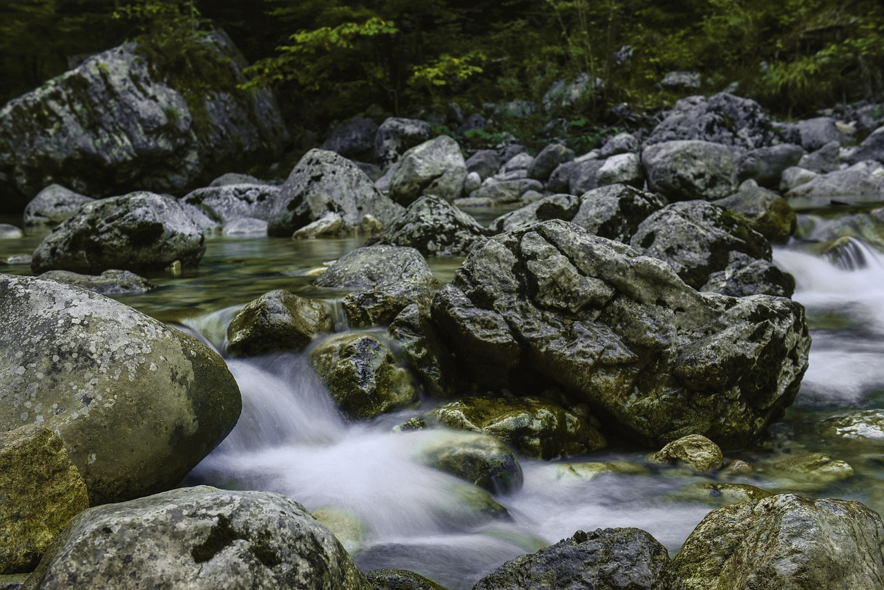 water inject forest free photo