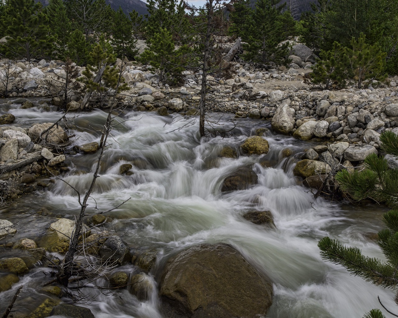 water stream nature free photo