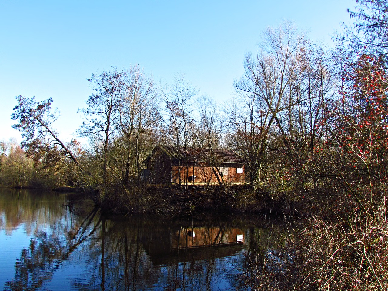 water pond grass free photo